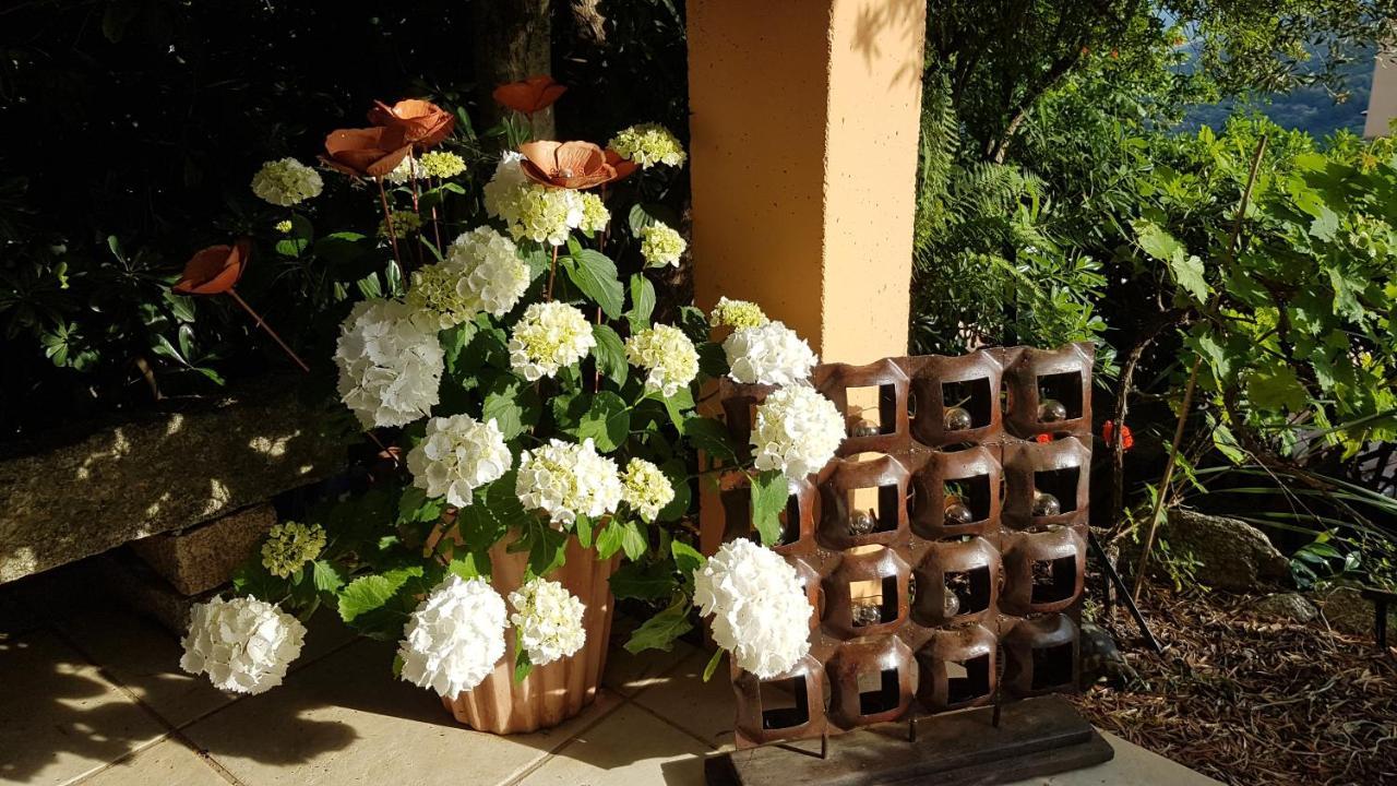 La Villa Guidi Pila-Canale Экстерьер фото